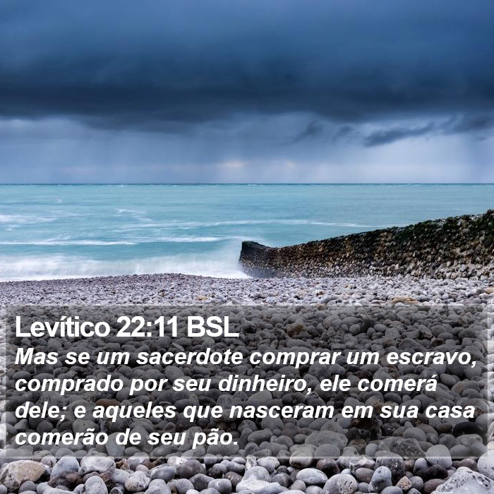 Levítico 22:11 BSL Bible Study