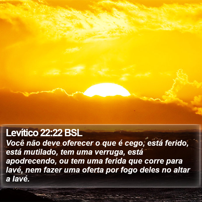 Levítico 22:22 BSL Bible Study