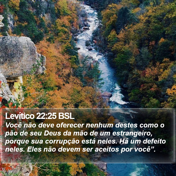 Levítico 22:25 BSL Bible Study