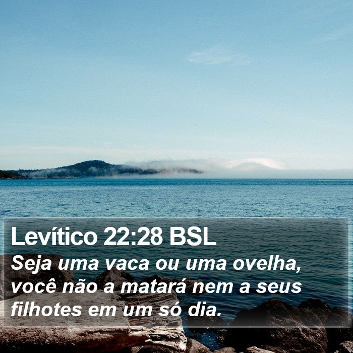 Levítico 22:28 BSL Bible Study