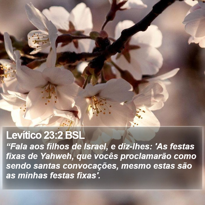 Levítico 23:2 BSL Bible Study