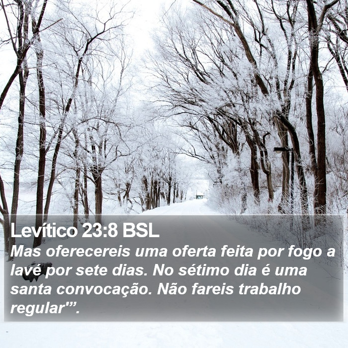 Levítico 23:8 BSL Bible Study