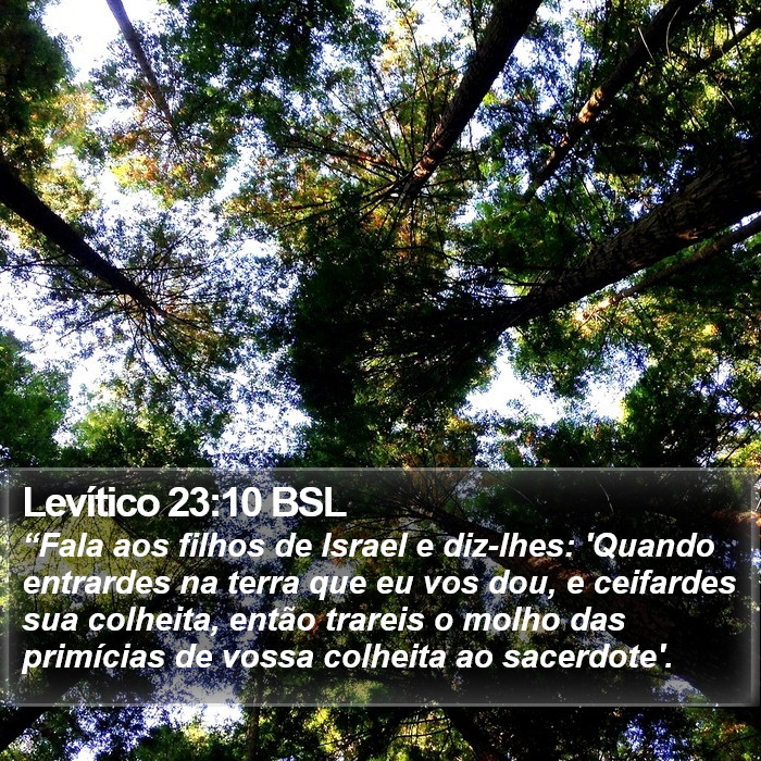 Levítico 23:10 BSL Bible Study