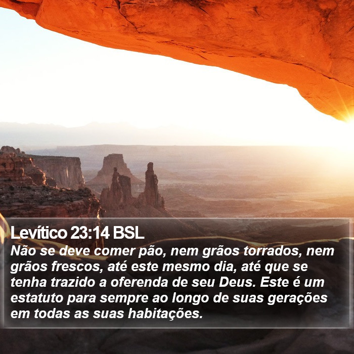 Levítico 23:14 BSL Bible Study