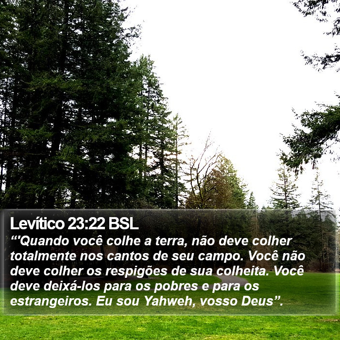 Levítico 23:22 BSL Bible Study