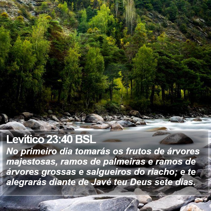 Levítico 23:40 BSL Bible Study