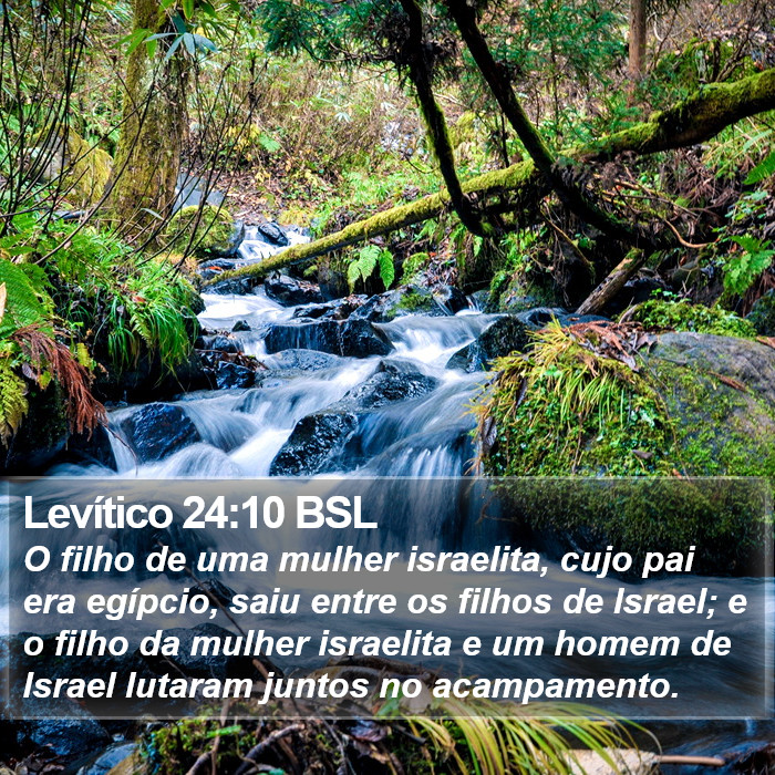 Levítico 24:10 BSL Bible Study