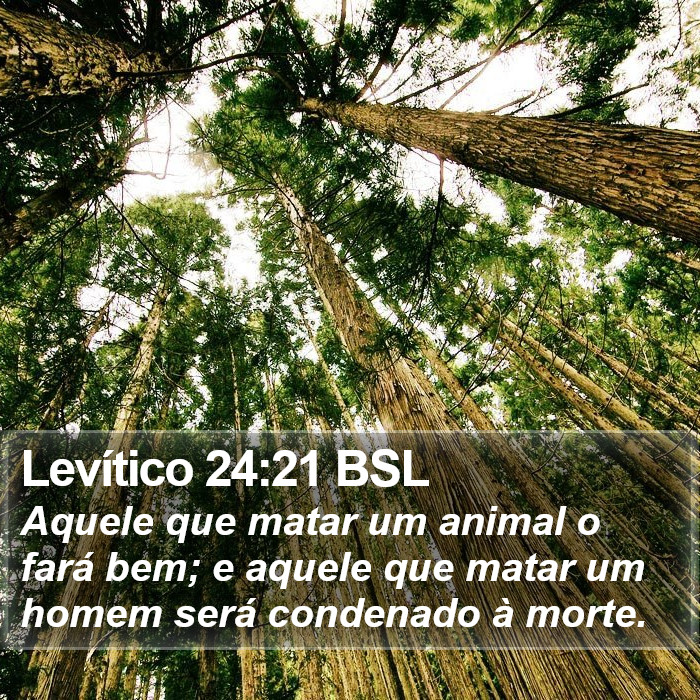 Levítico 24:21 BSL Bible Study