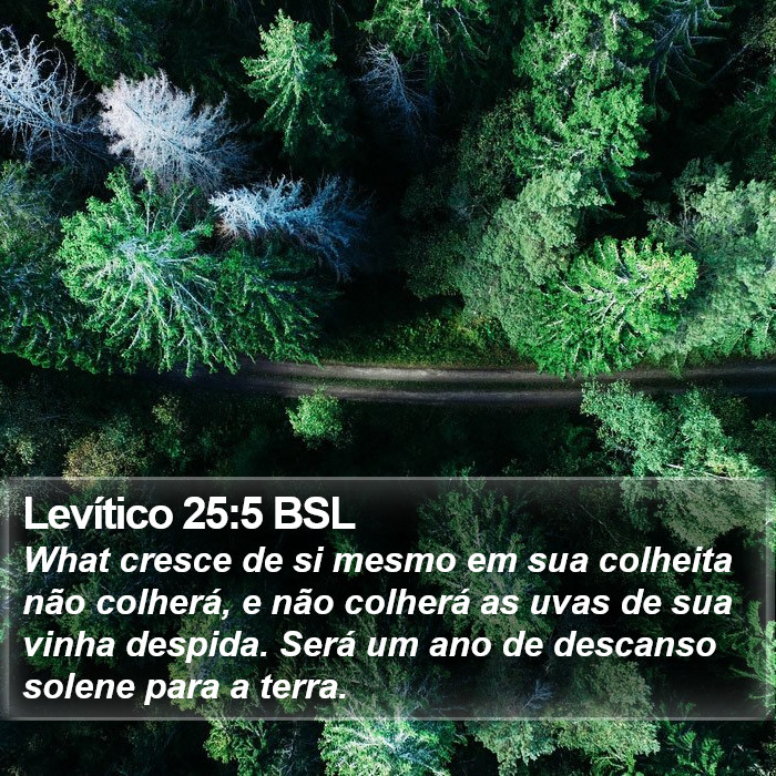 Levítico 25:5 BSL Bible Study