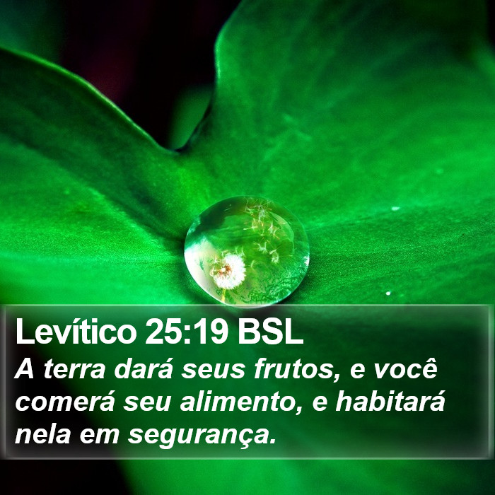Levítico 25:19 BSL Bible Study