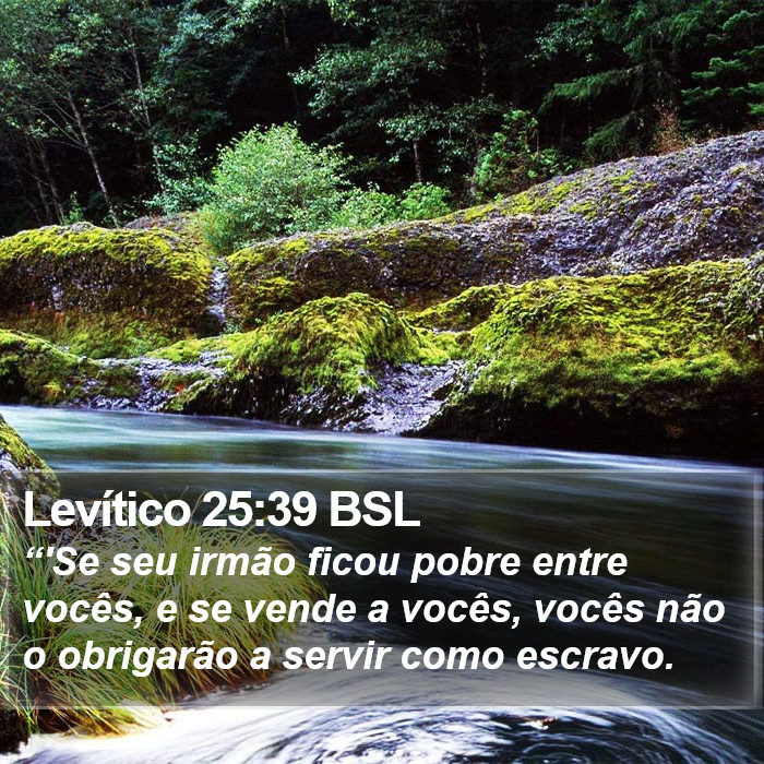 Levítico 25:39 BSL Bible Study