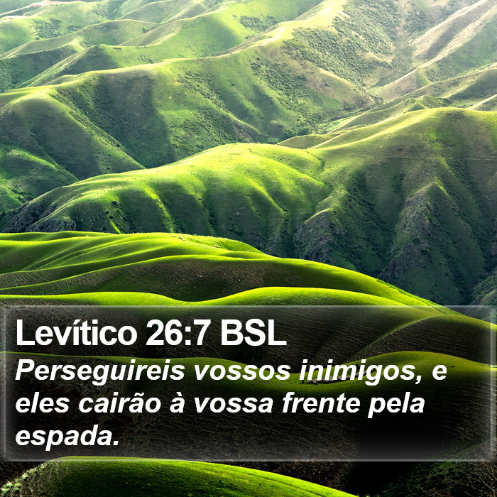 Levítico 26:7 BSL Bible Study