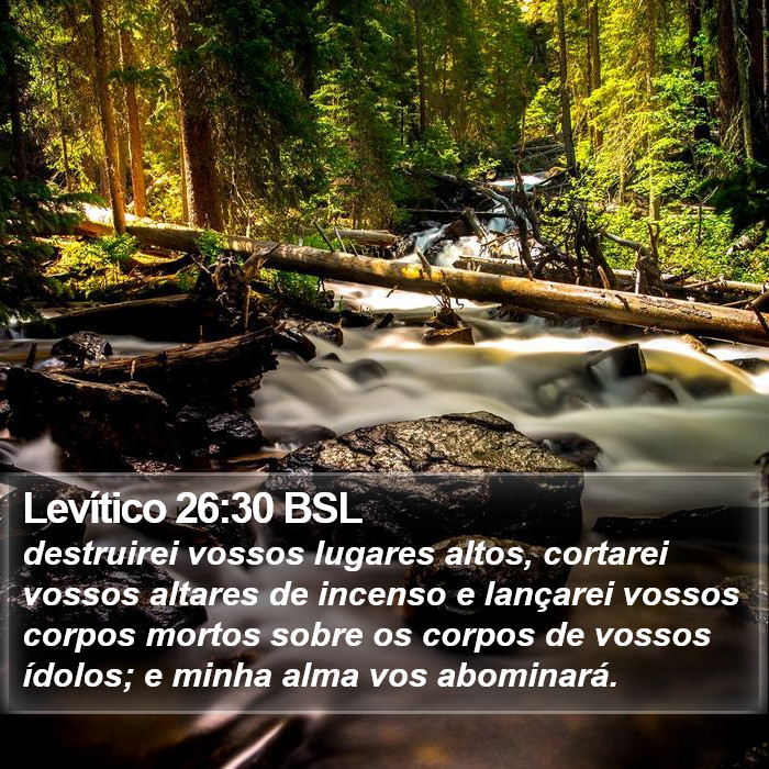 Levítico 26:30 BSL Bible Study