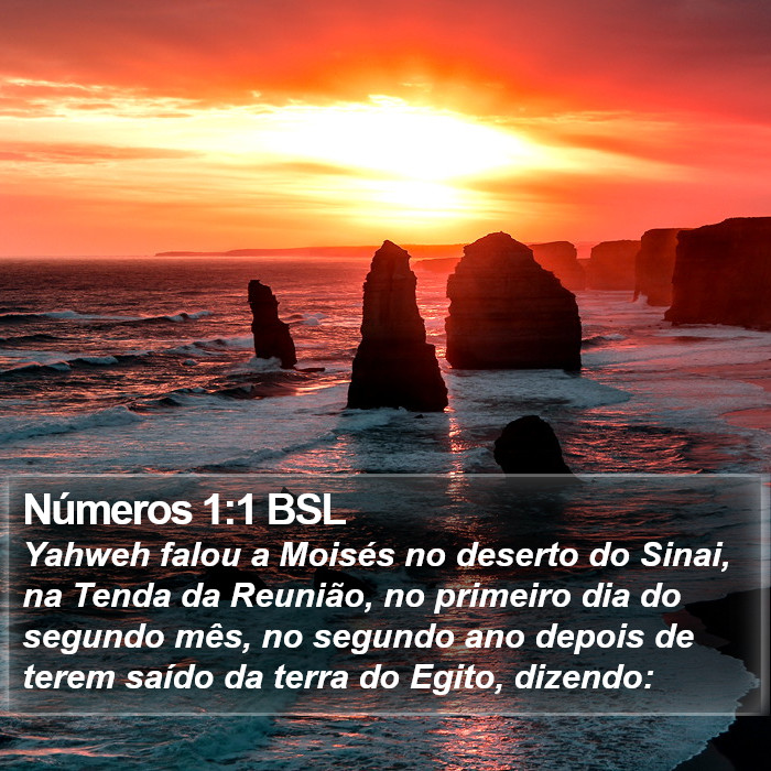 Números 1:1 BSL Bible Study