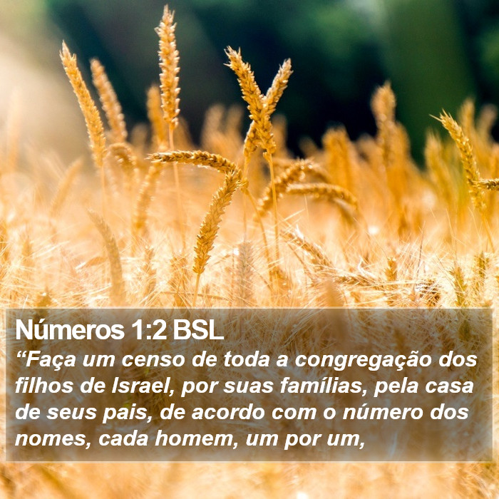 Números 1:2 BSL Bible Study