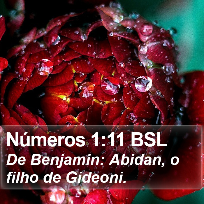 Números 1:11 BSL Bible Study