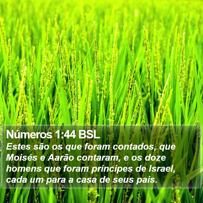 Números 1:44 BSL Bible Study