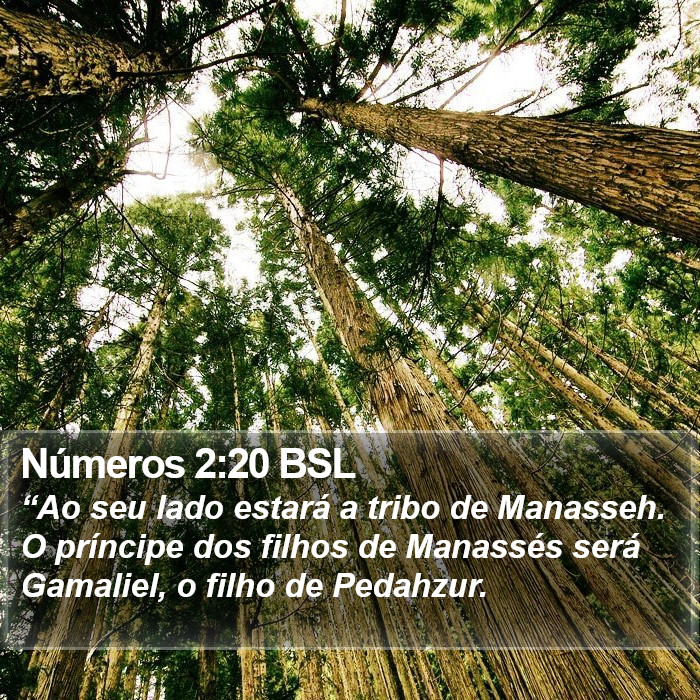 Números 2:20 BSL Bible Study