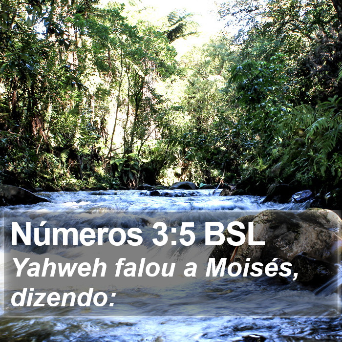 Números 3:5 BSL Bible Study