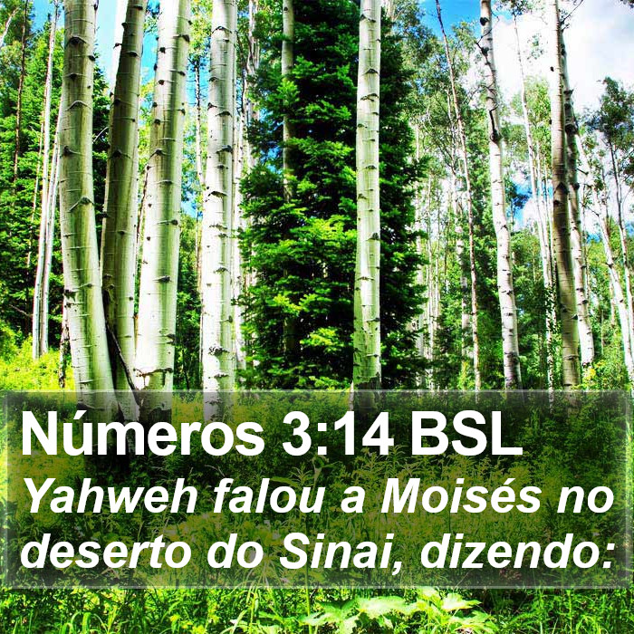 Números 3:14 BSL Bible Study