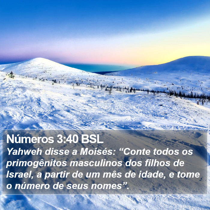 Números 3:40 BSL Bible Study