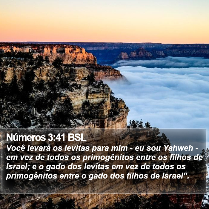 Números 3:41 BSL Bible Study