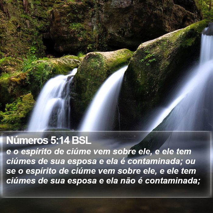 Números 5:14 BSL Bible Study