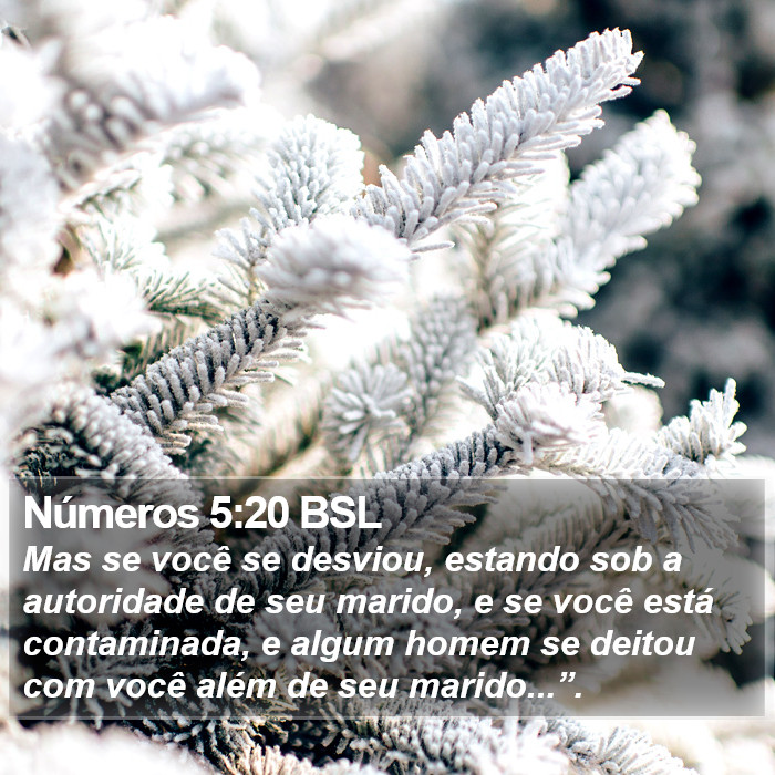 Números 5:20 BSL Bible Study