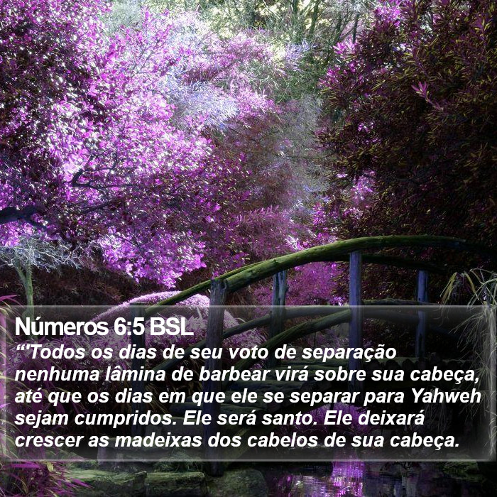 Números 6:5 BSL Bible Study