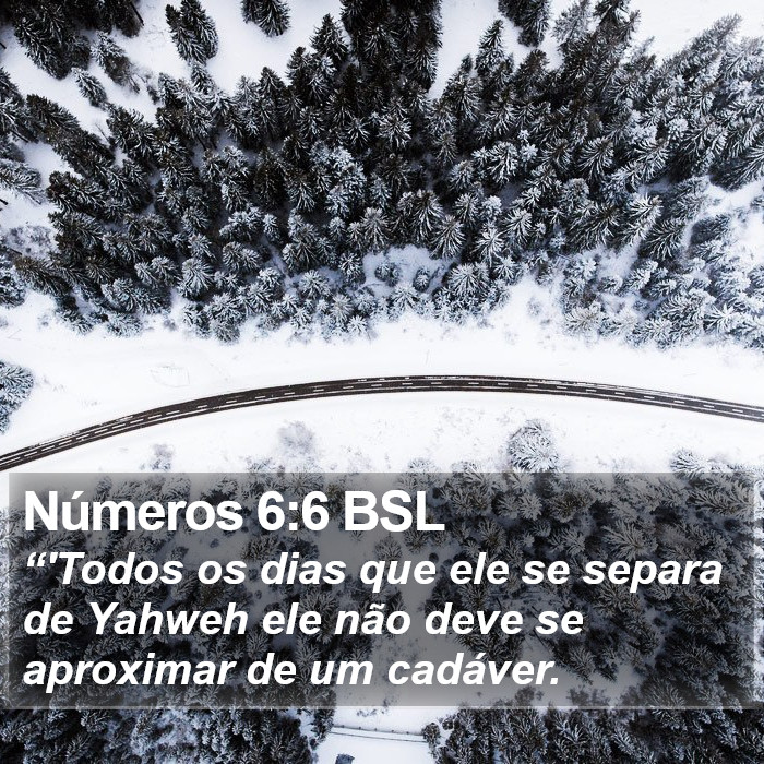 Números 6:6 BSL Bible Study