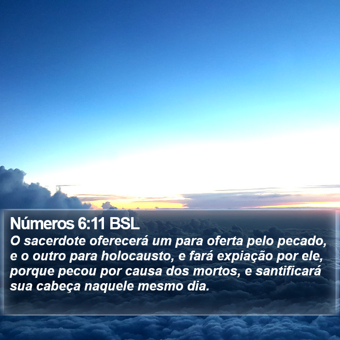 Números 6:11 BSL Bible Study