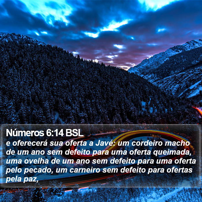 Números 6:14 BSL Bible Study