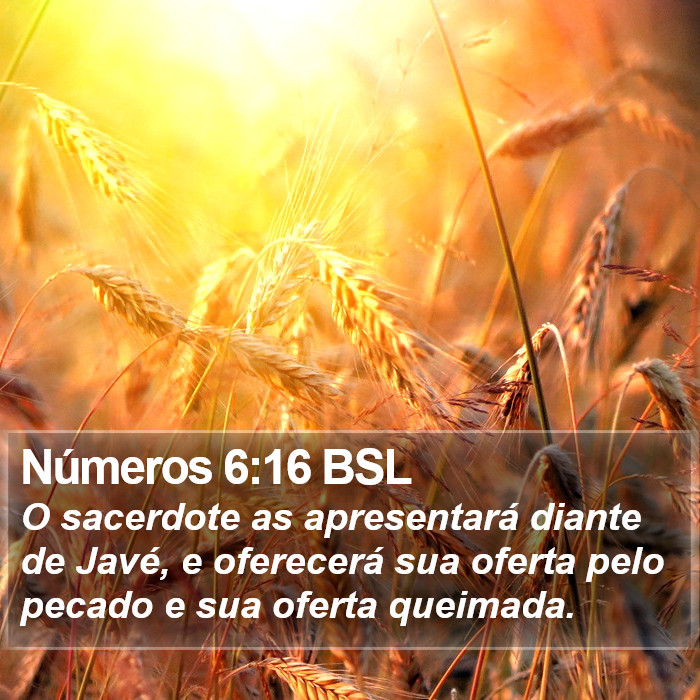 Números 6:16 BSL Bible Study