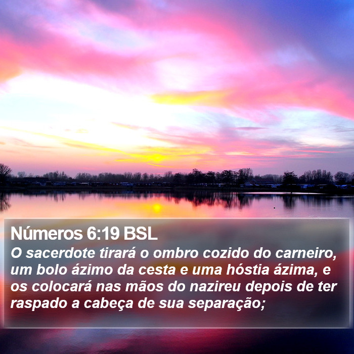 Números 6:19 BSL Bible Study