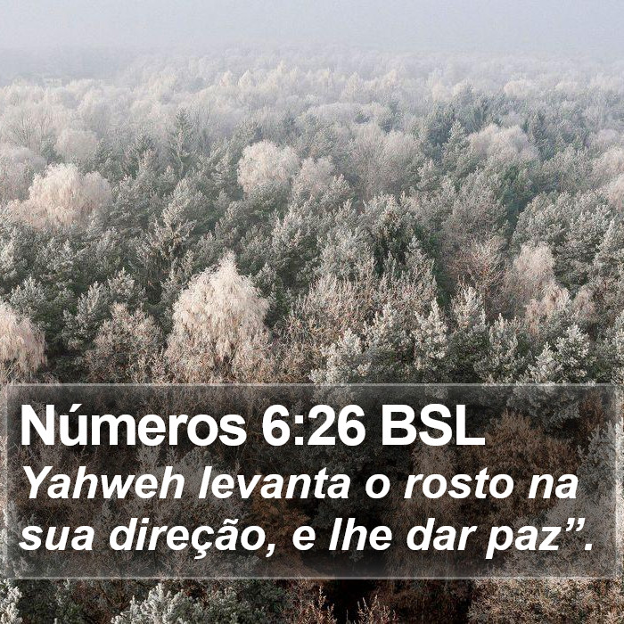 Números 6:26 BSL Bible Study