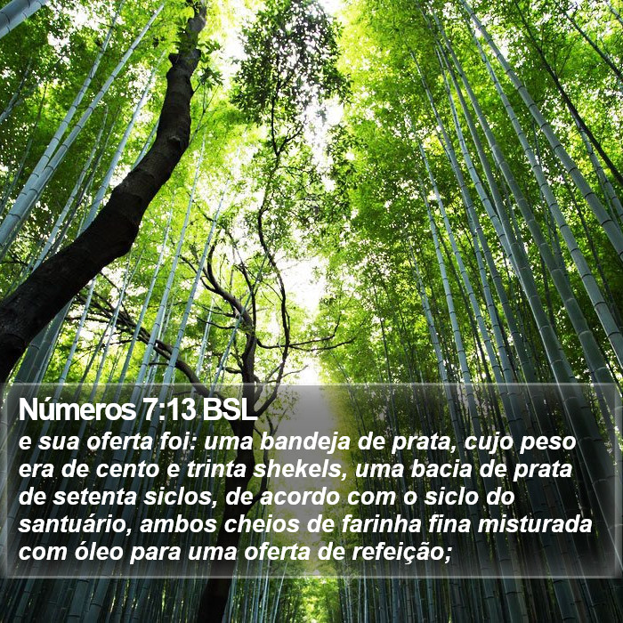 Números 7:13 BSL Bible Study