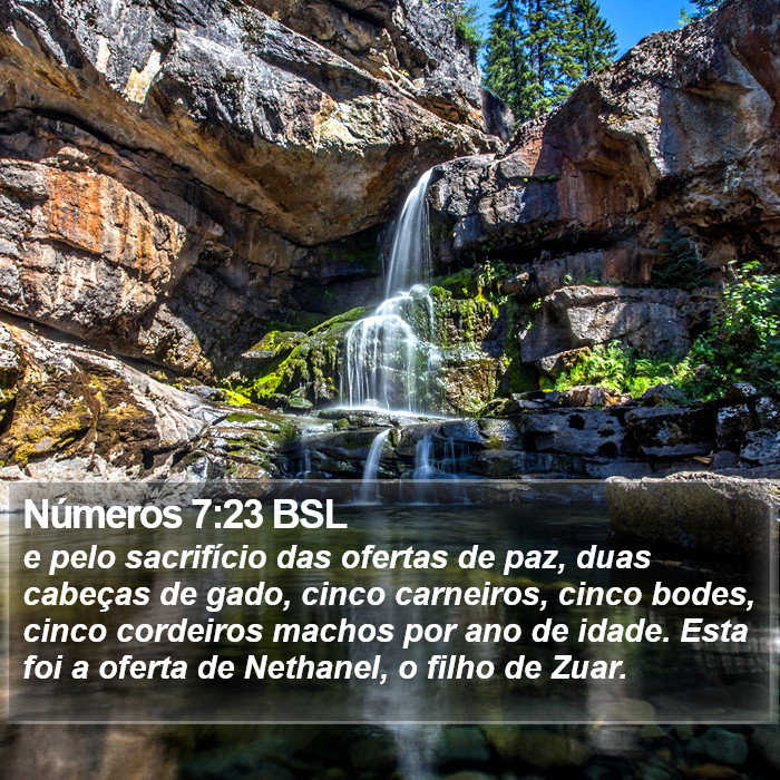 Números 7:23 BSL Bible Study