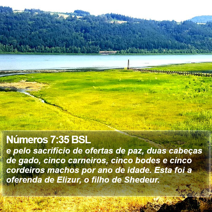 Números 7:35 BSL Bible Study