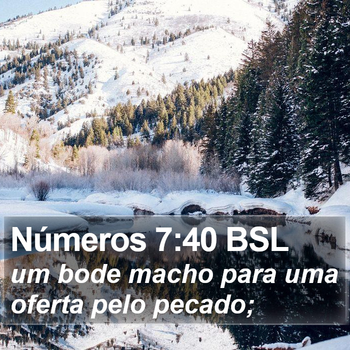 Números 7:40 BSL Bible Study