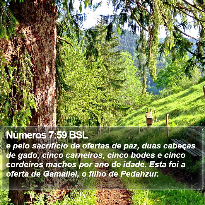 Números 7:59 BSL Bible Study