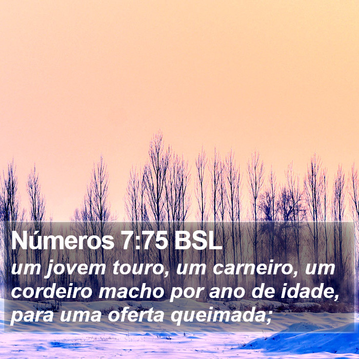 Números 7:75 BSL Bible Study