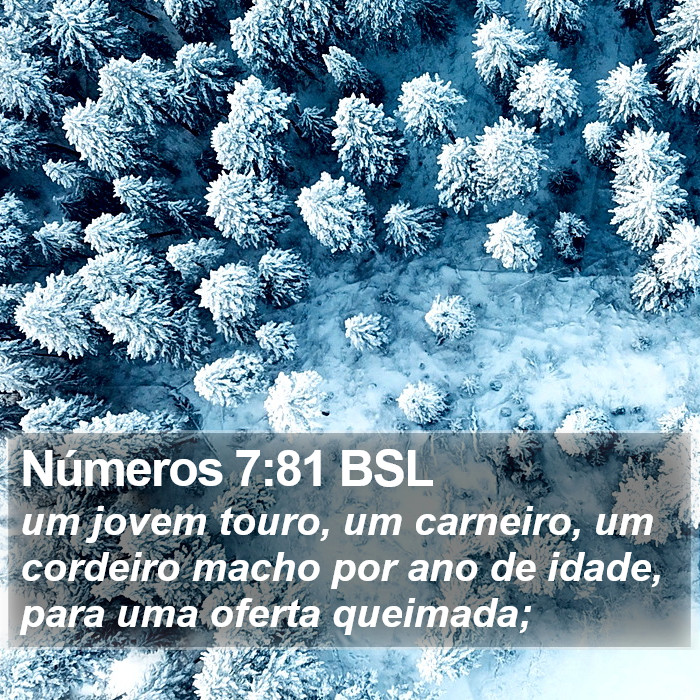 Números 7:81 BSL Bible Study