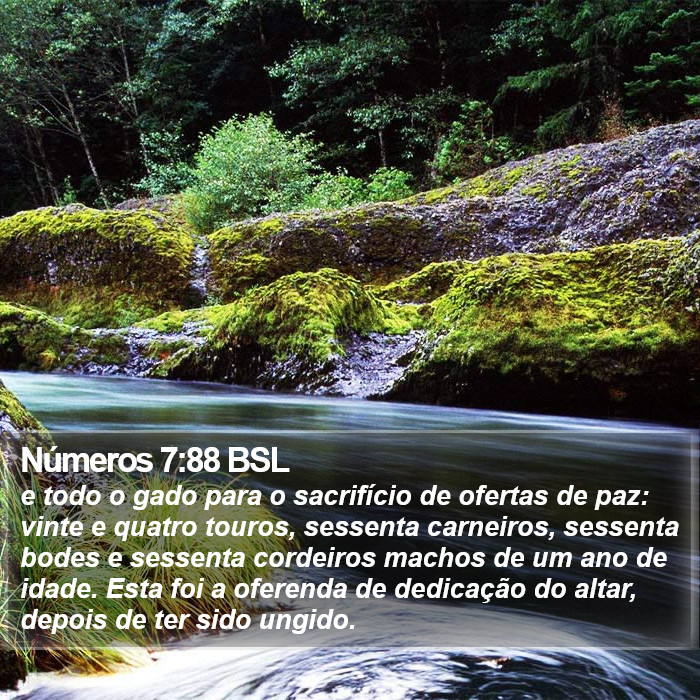 Números 7:88 BSL Bible Study