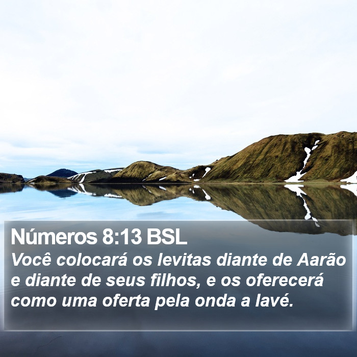 Números 8:13 BSL Bible Study