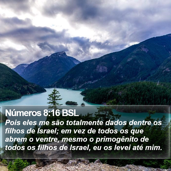Números 8:16 BSL Bible Study