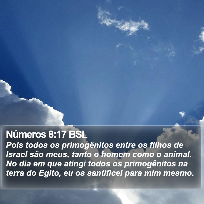 Números 8:17 BSL Bible Study