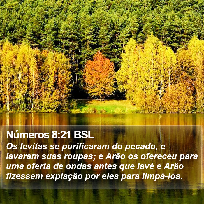 Números 8:21 BSL Bible Study