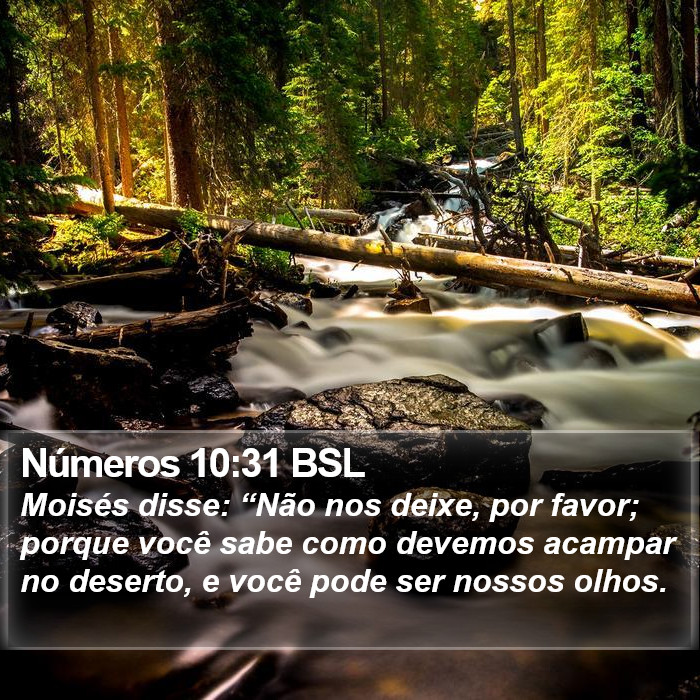 Números 10:31 BSL Bible Study