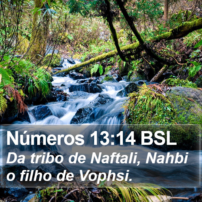 Números 13:14 BSL Bible Study