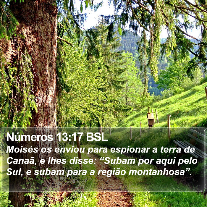 Números 13:17 BSL Bible Study